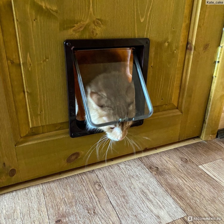 Люк дверной для кошек