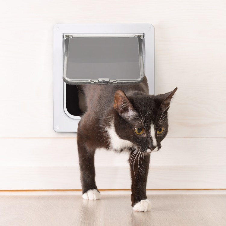 Petsafe дверца Original 2 way, коричневая