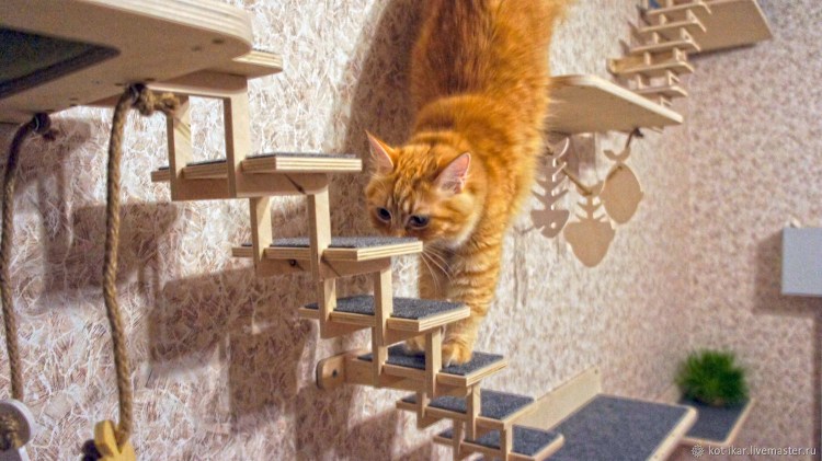 Кошачий домик лазалка