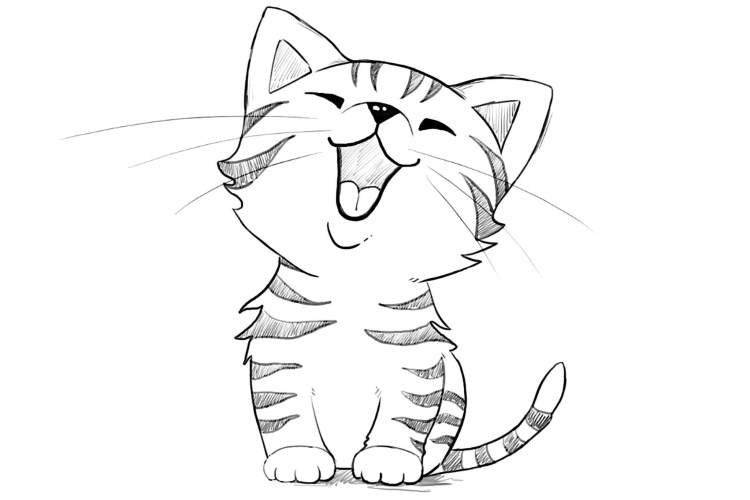 Рисунки для срисовки котики