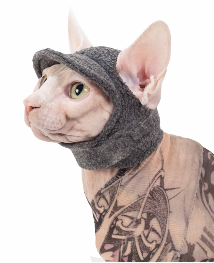 Одежда для кошек