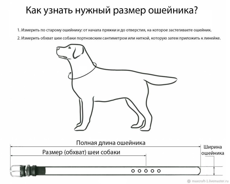 Выкройка шлейки для кролика