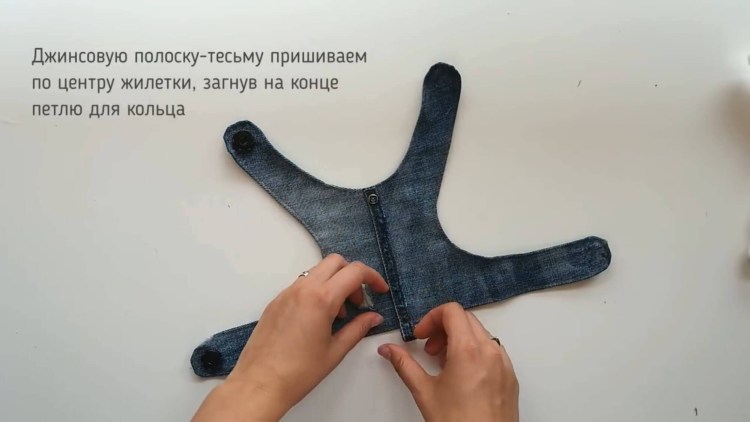 Шлейка для кошки своими руками выкройка из джинсы