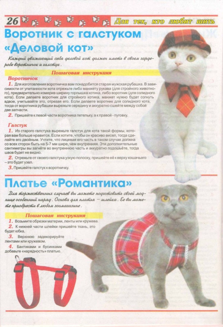 Выкройка одежды для кота сфинкса выкройка