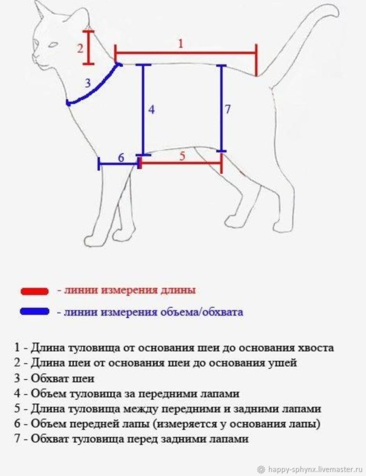 Лекало для поводка для кошки