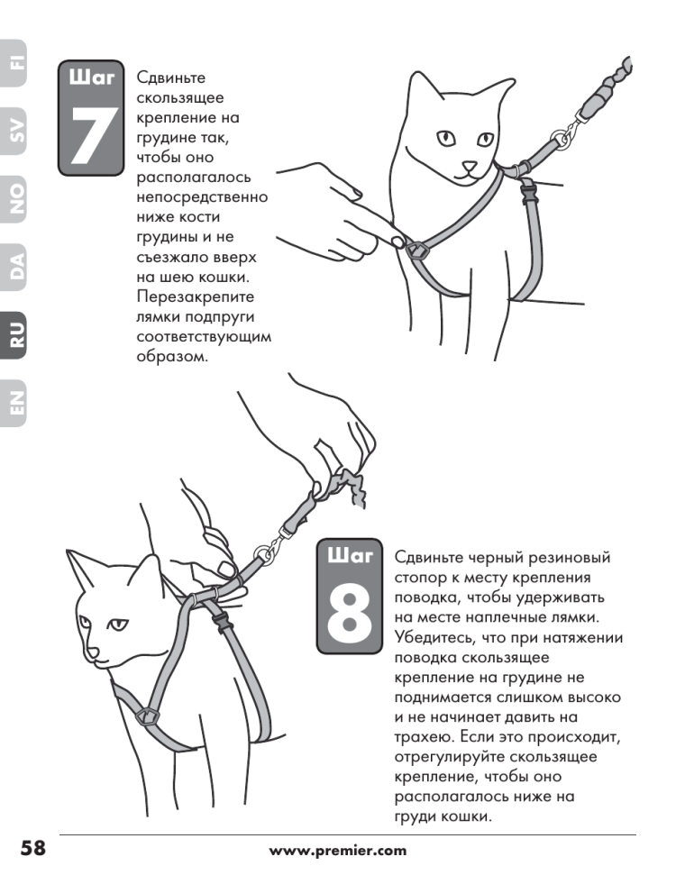 Выкройка шлейки для маленькой собаки