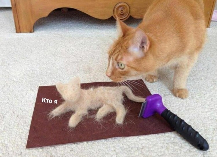 Вычесывание кота фурминатором