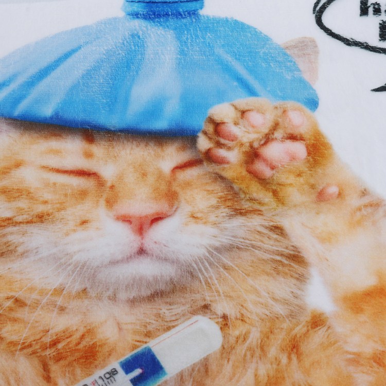 Рыжий кот болеет