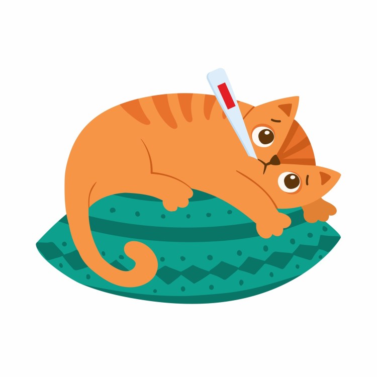 Котенок заболел