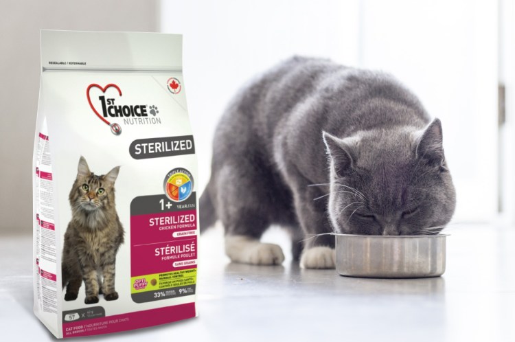 Корм фест Чойс для котят