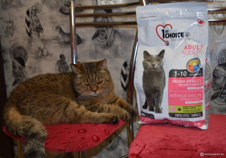 1st choice для котят 907г