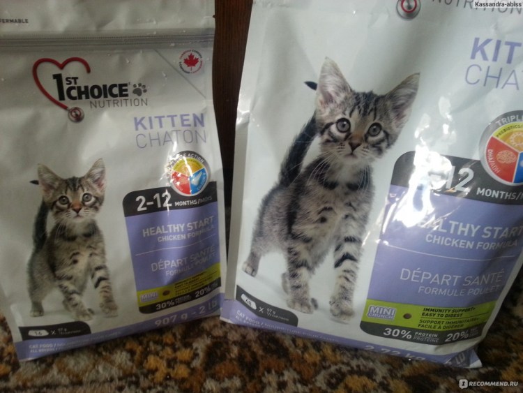 1st choice Indoor Vitality