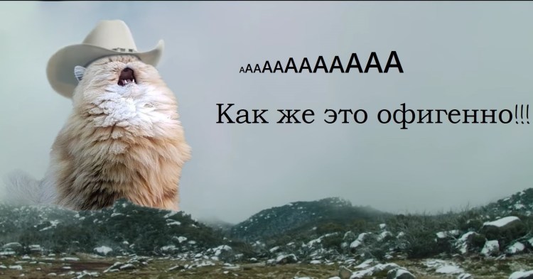 Кричащий кот Мем