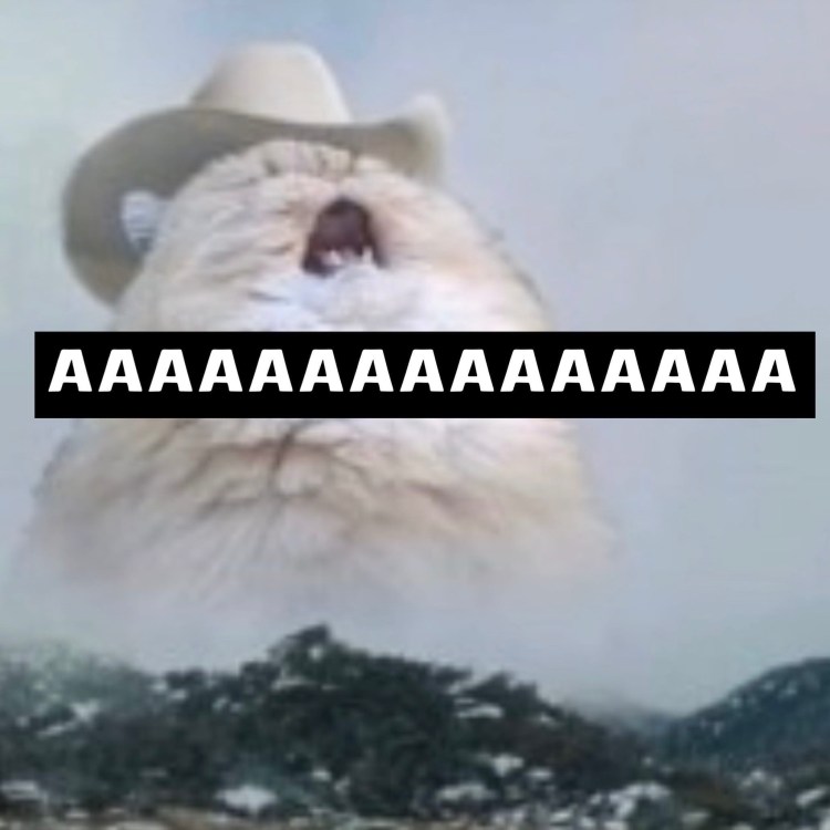 Орущий кот Мем