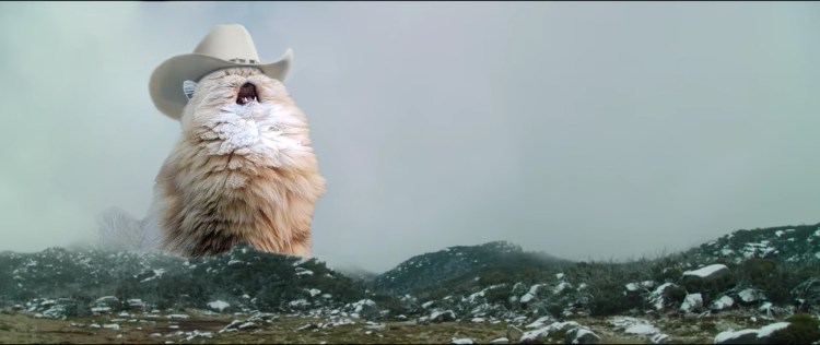 Кот в шляпе кричит
