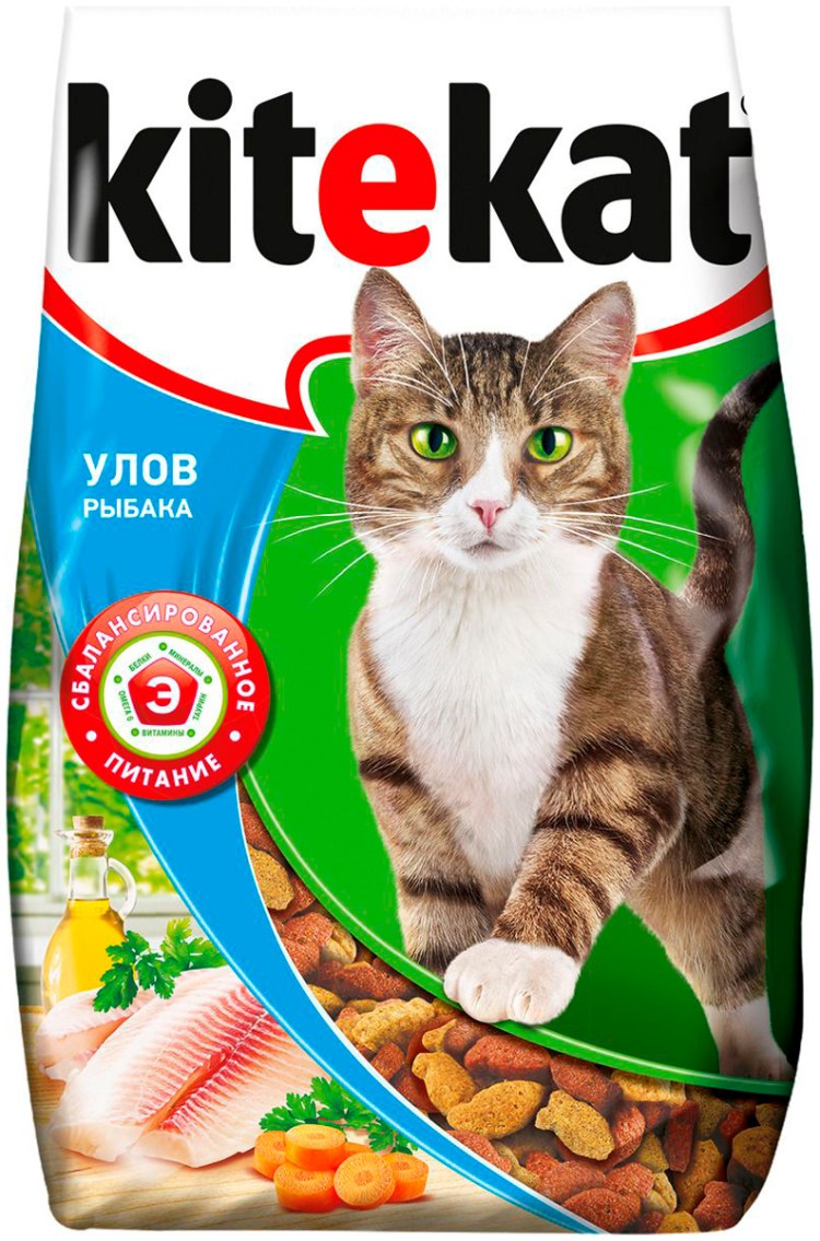 Котик с едой