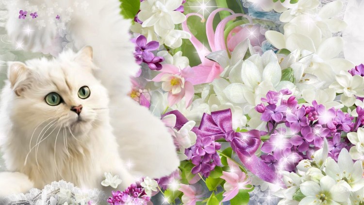 Лавандовая кошка