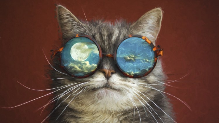 Коты в очках картинки