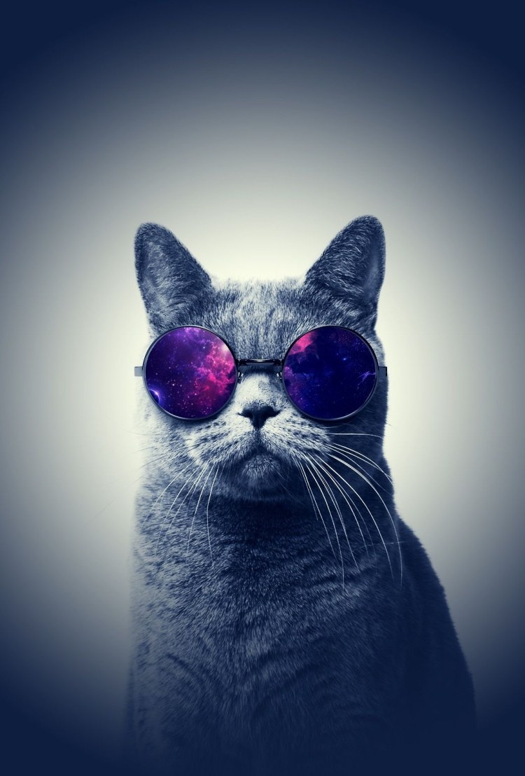 Котик в очках с космосом