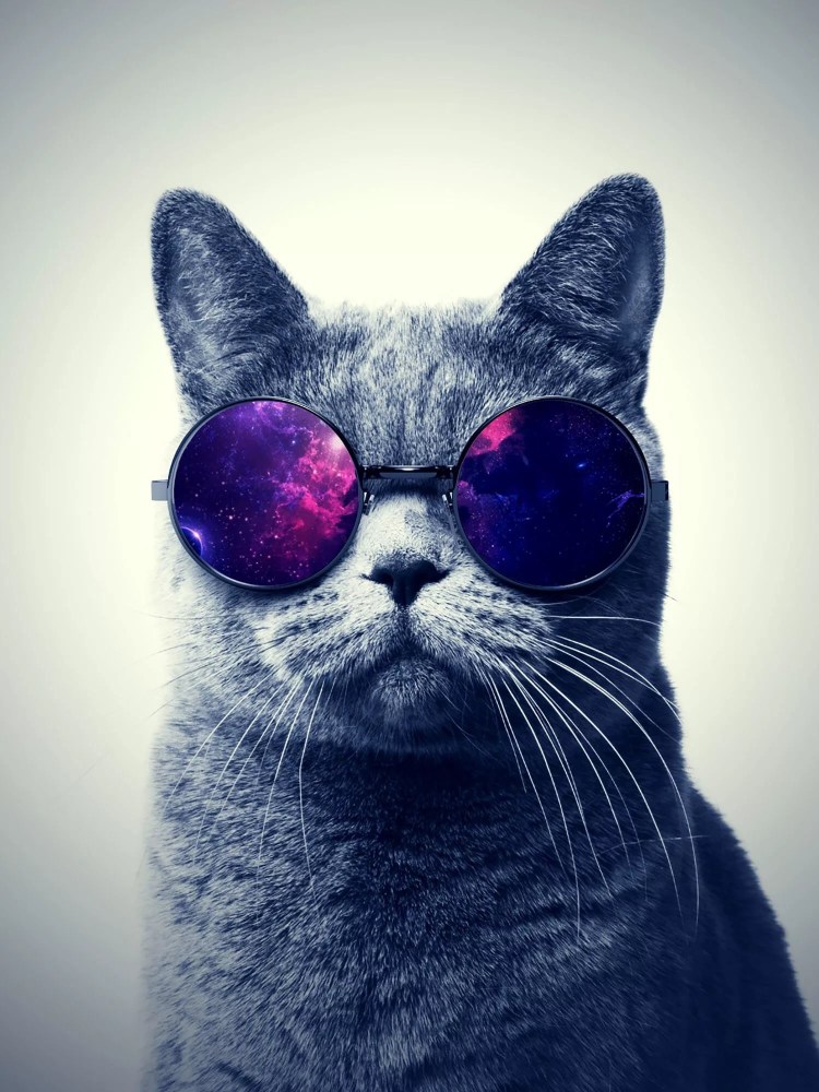 Котик в очках с космосом