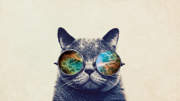 Космический кот
