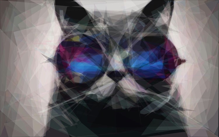 Кот в очках