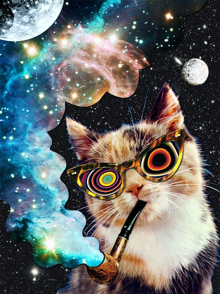Космический кот