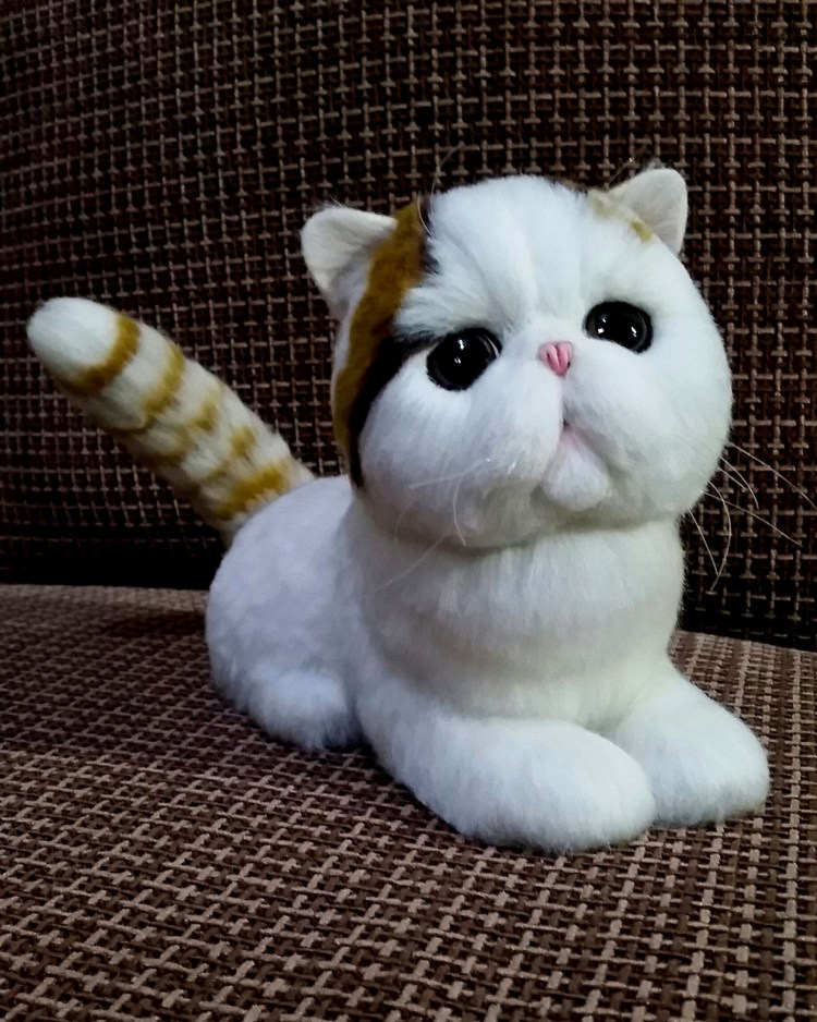 Кошки породы экзот