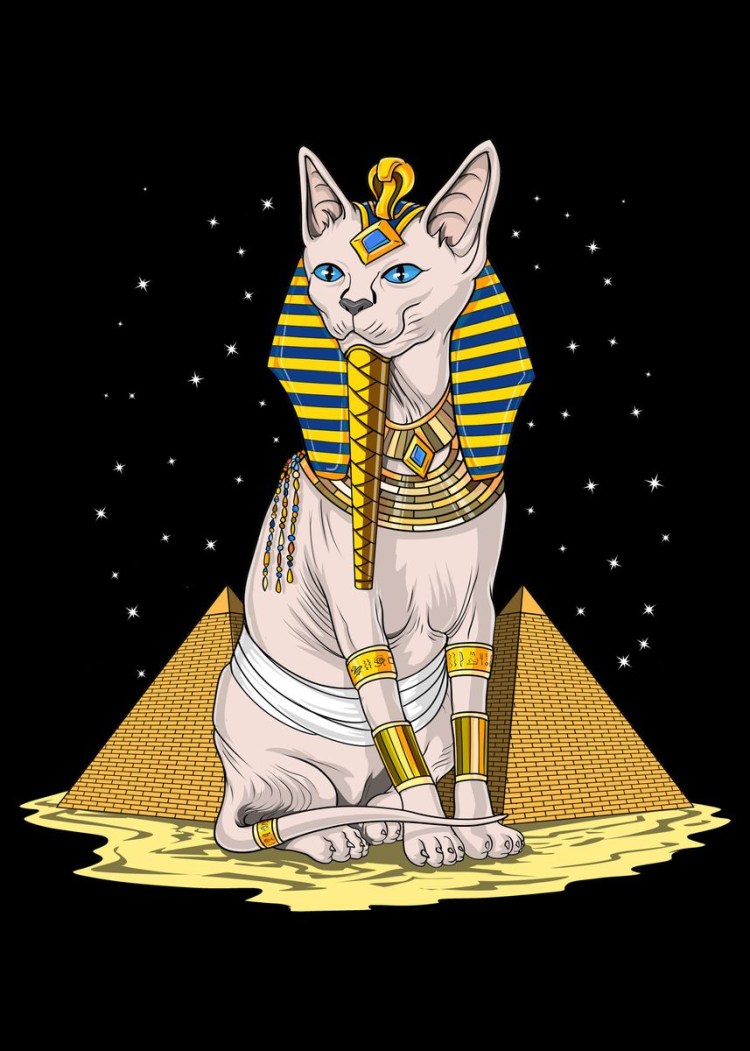 Zone Ankha фулл оригинал