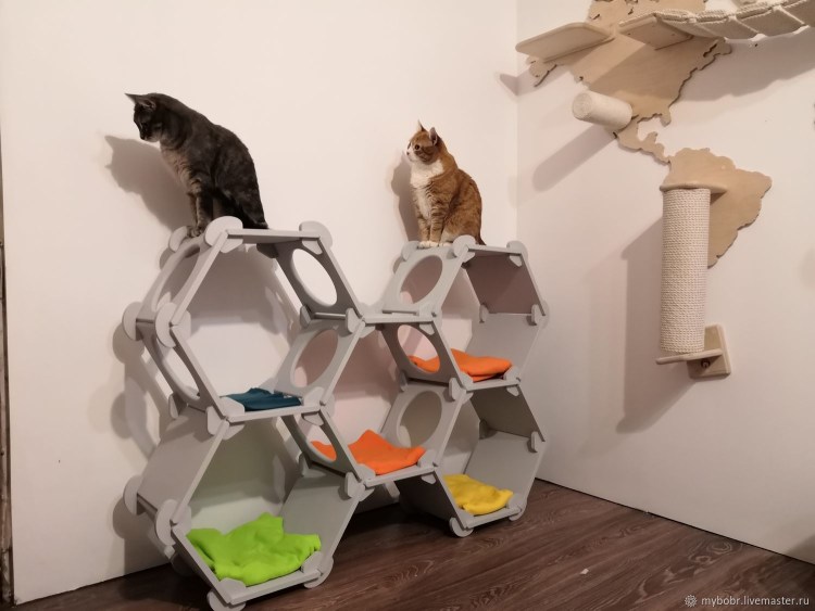 Креативные домики для кошек