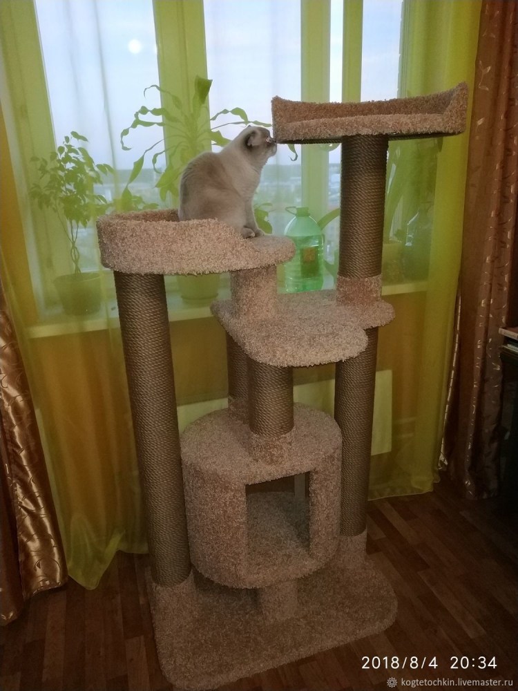 Кошачий комплекс для Мейн куна