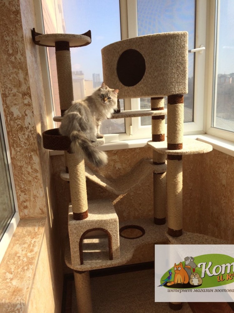 Игровой комплекс для кошек Каскад