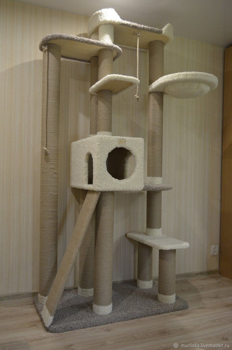 Кошачий комплекс для Мейн куна