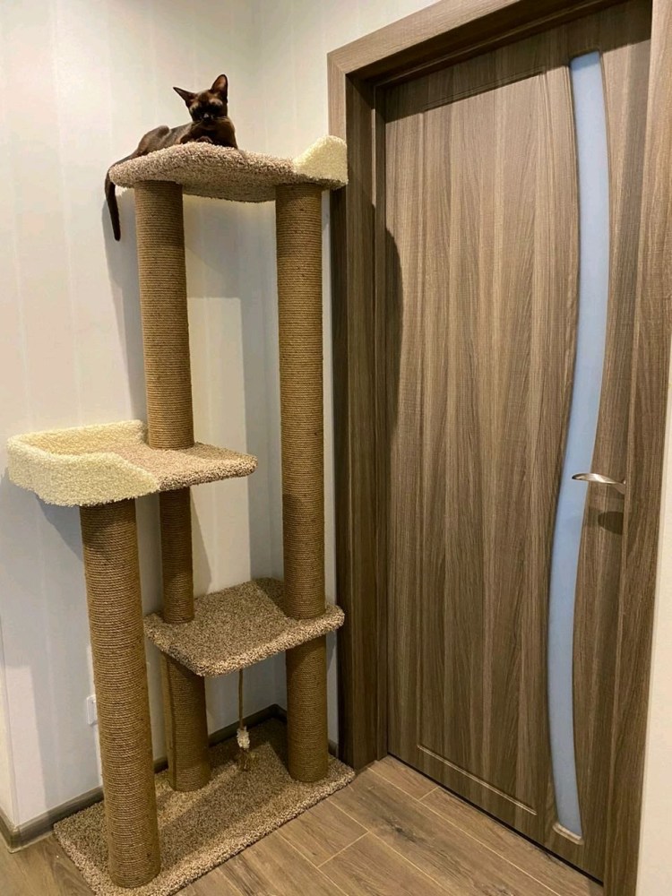 Комплекс для кошек