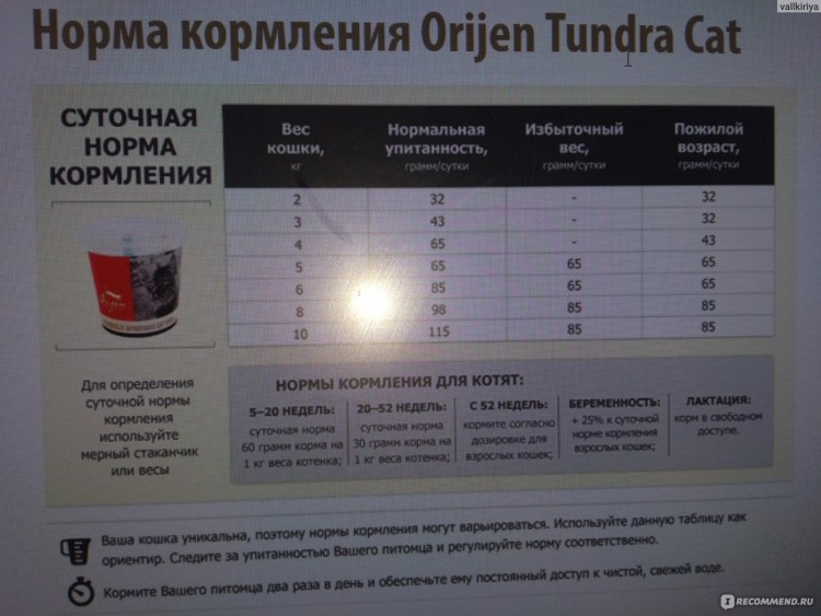 Acana для кошек норма кормления