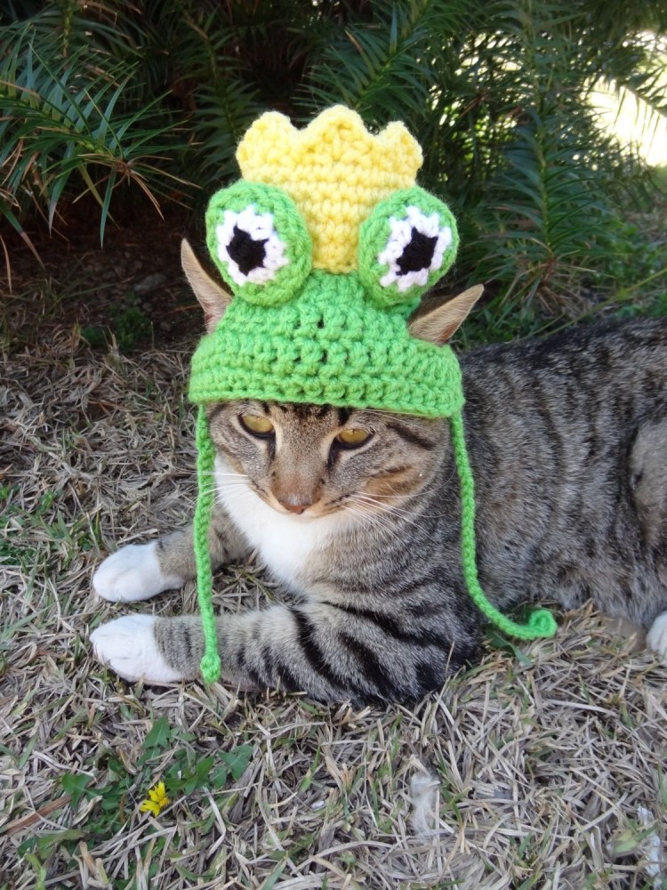 Шапочка котика