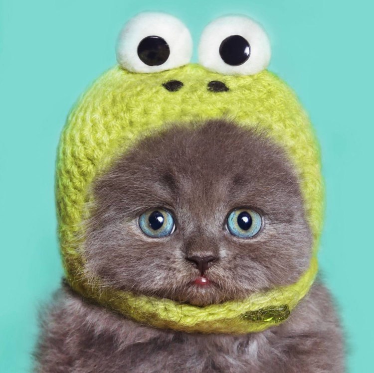 Шапка 'кошка'
