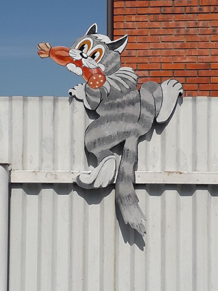 Кот на заборе