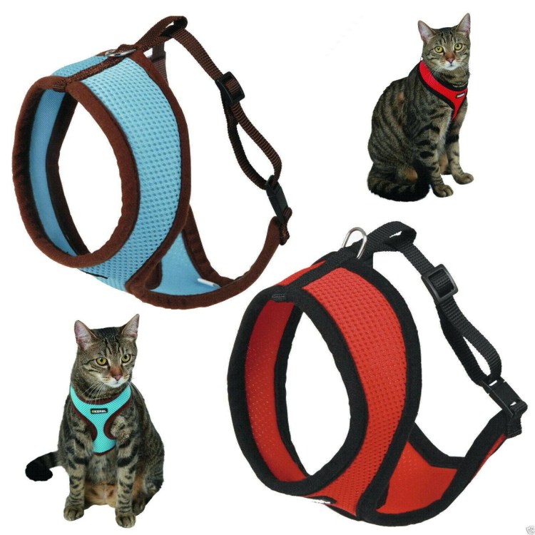 Ошейники и поводки для кошек