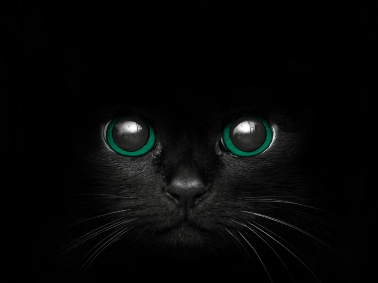 P-105 Pure Black