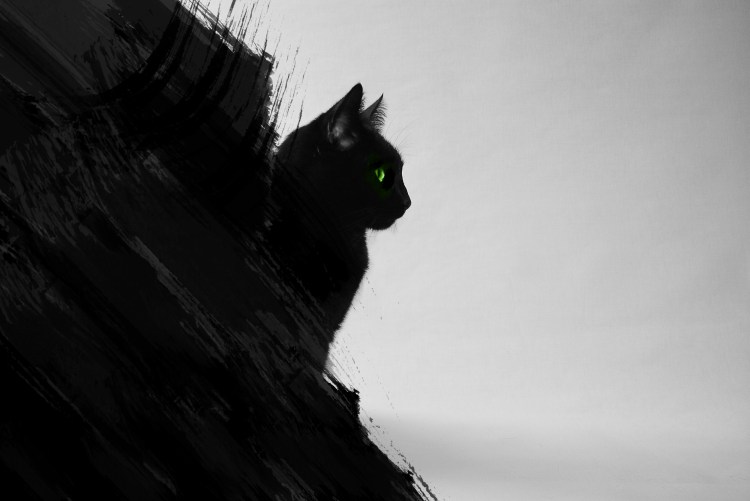 Аниме девушки кошки