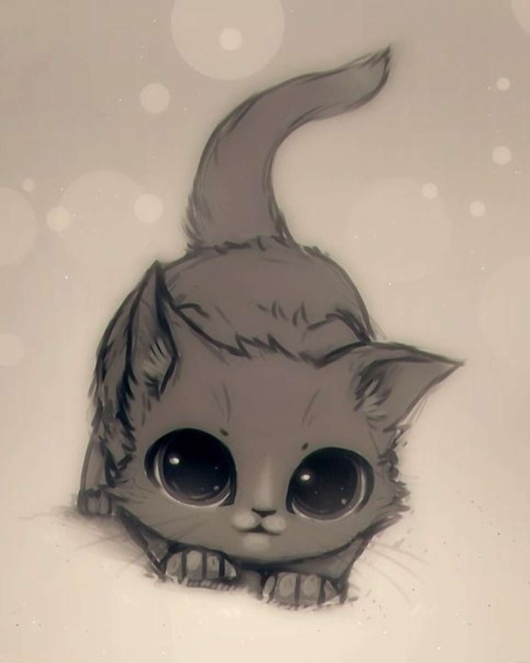 Анимешные котики