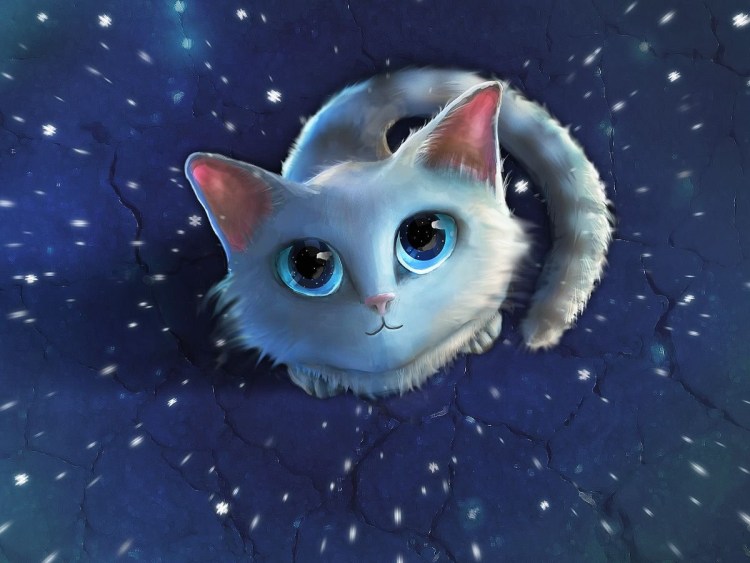 Милые коты