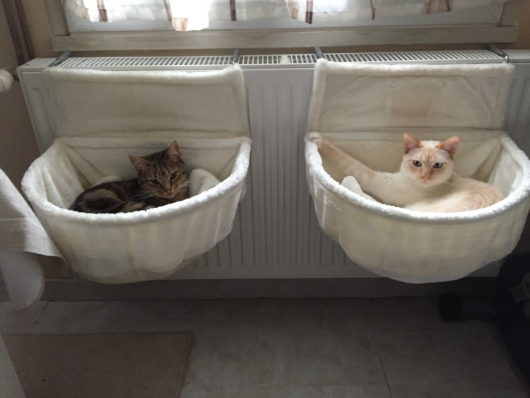 Лежанка для кота на батарею