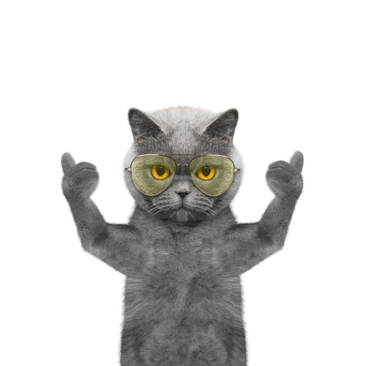 Кошачий лайк
