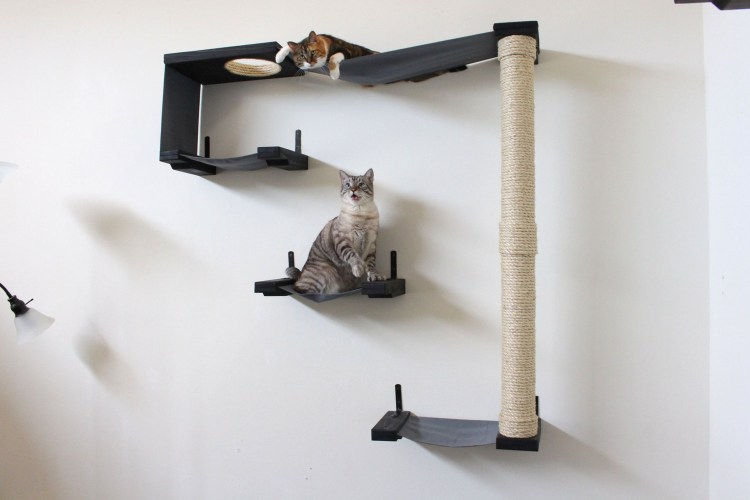 Игровая комната для котов