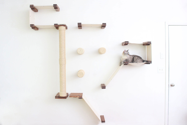 Лазалки для кошек на стену