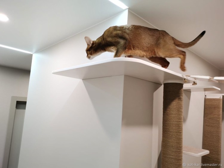 Настенный комплекс для кошек