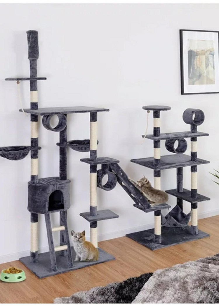 Комплекс для кошек