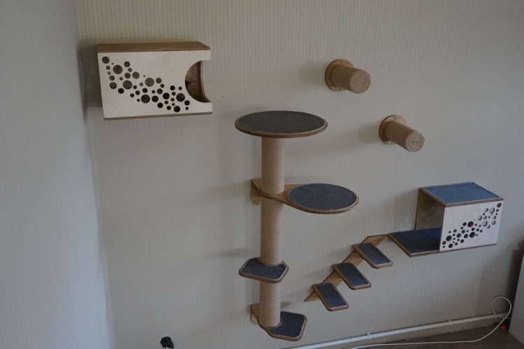 Игровая комната для кошек